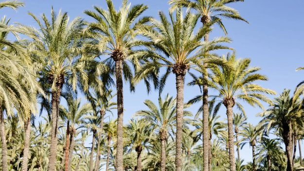 alquiler autocaravanas